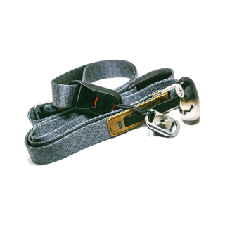 Aenean volutpat rhoncus tortor